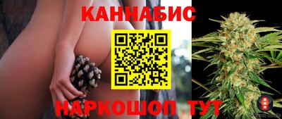 соль ск Нальчик
